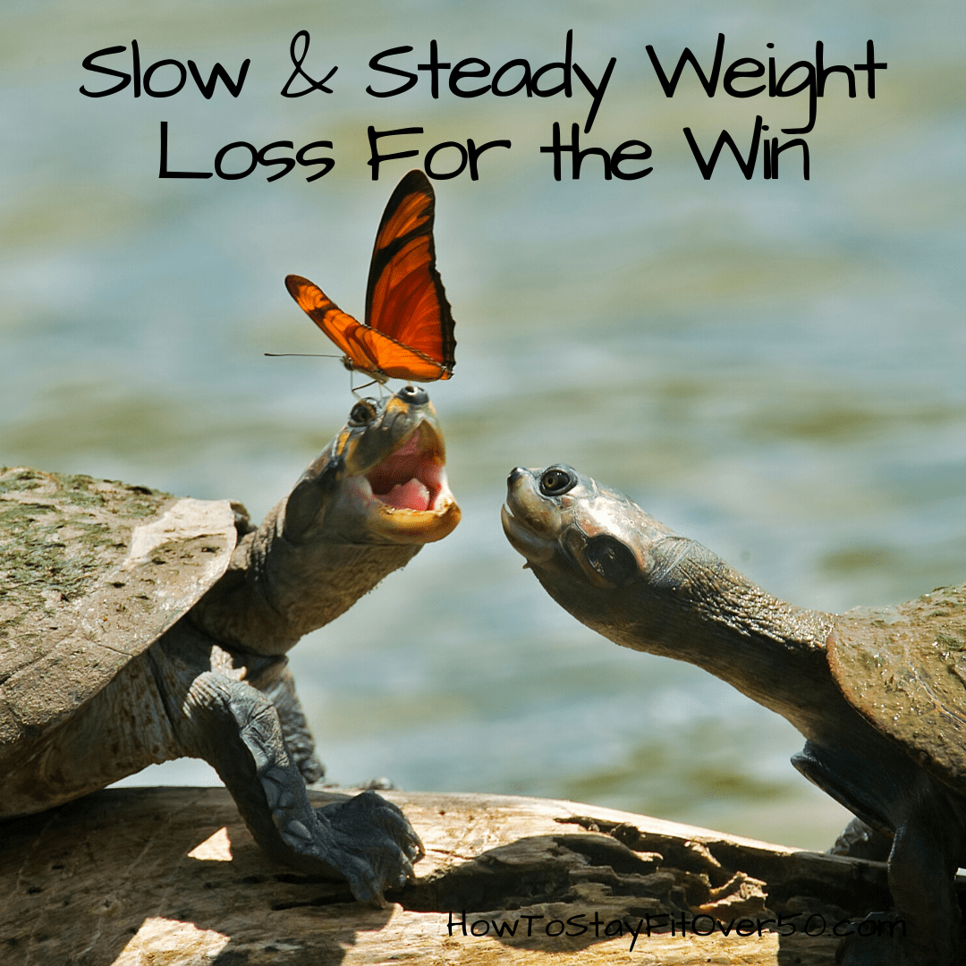 slow-and-steady-fitness-journey-to-win-the-race-how-to-stay-healthy